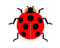 ĂԁH  Toys Guide